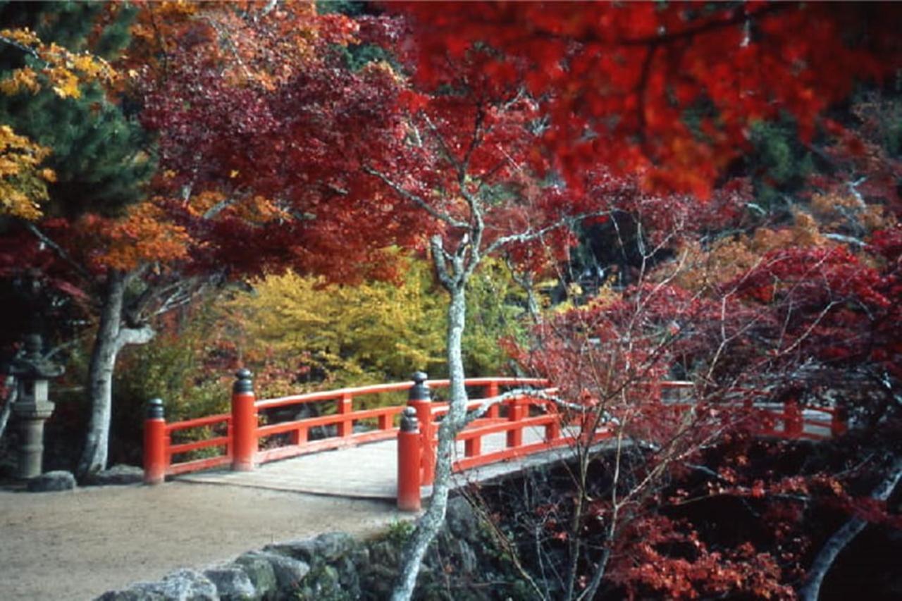 Отель Miyajima Shiro Хацукаити Экстерьер фото